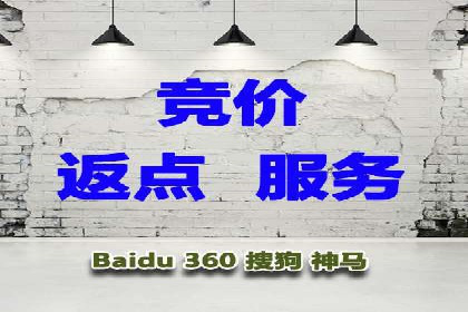 SEM托管公司案例分析：数据驱动决策